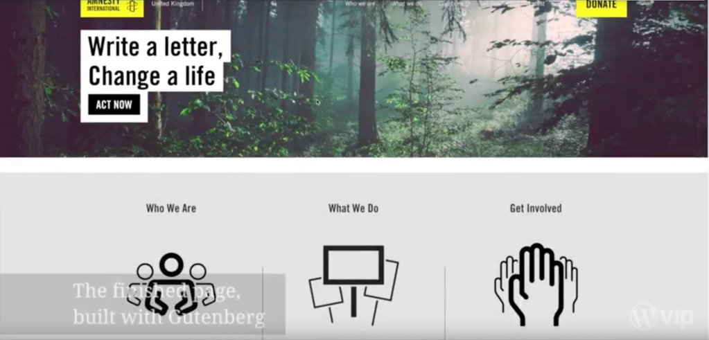 Amnesty and the power of Gutenberg, the new WordPress editor