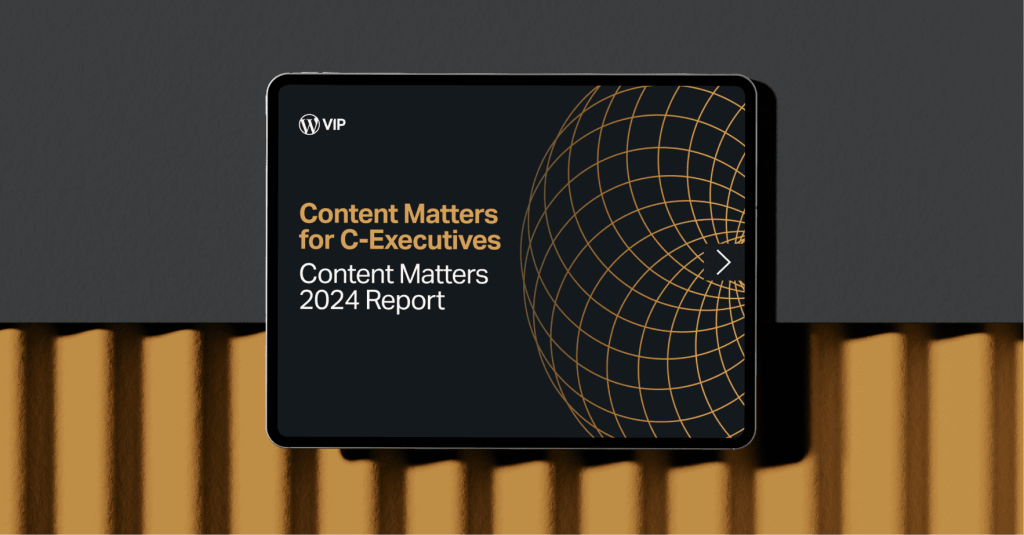 Cover of the Content Matters for C-Executives: Content Matters 2024 Report